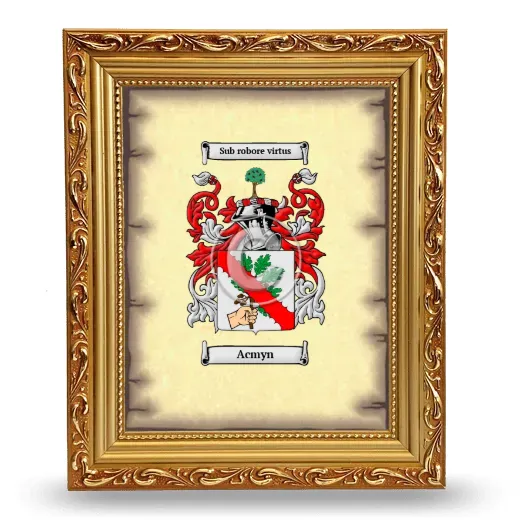Acmyn Coat of Arms Framed - Gold