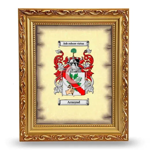 Acmynd Coat of Arms Framed - Gold