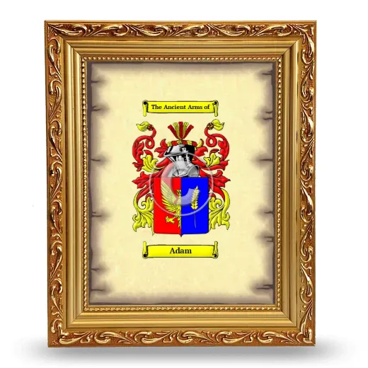 Adam Coat of Arms Framed - Gold