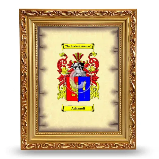 Adamoli Coat of Arms Framed - Gold