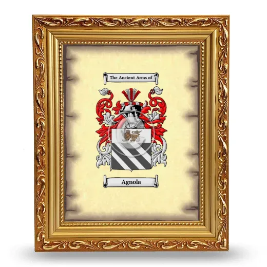 Agnola Coat of Arms Framed - Gold