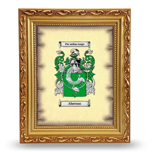 Aherran Coat of Arms Framed - Gold
