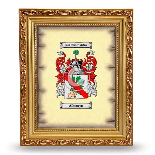 Aikemyn Coat of Arms Framed - Gold