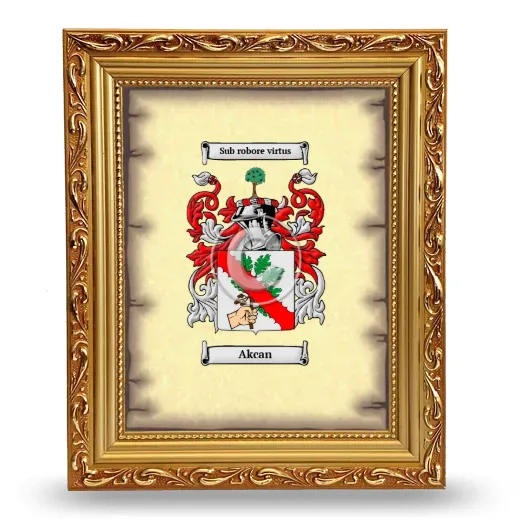 Akcan Coat of Arms Framed - Gold