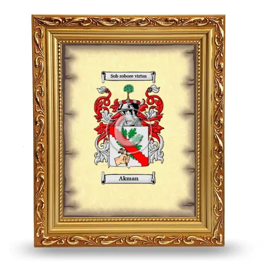 Akman Coat of Arms Framed - Gold