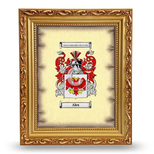 Alex Coat of Arms Framed - Gold