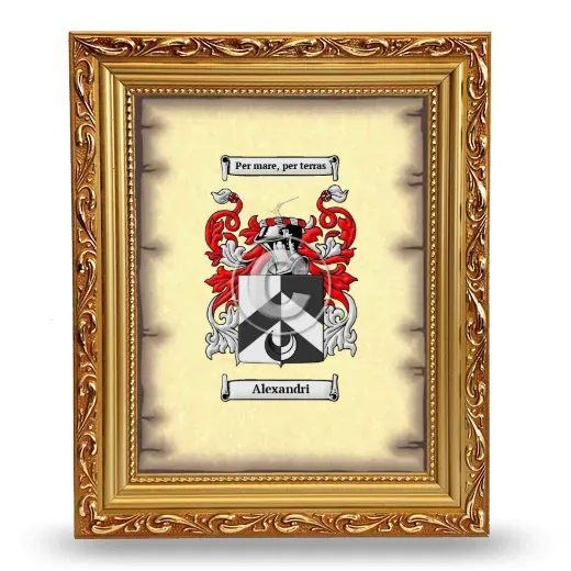 Alexandri Coat of Arms Framed - Gold