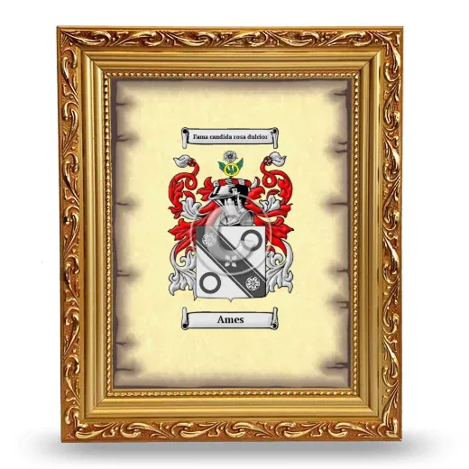 Ames Coat of Arms Framed - Gold