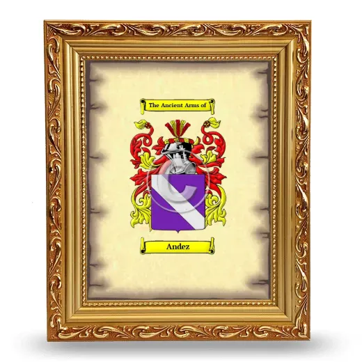 Andez Coat of Arms Framed - Gold