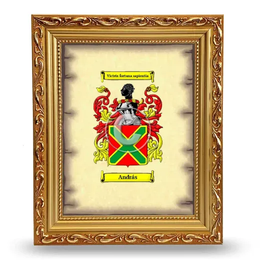 András Coat of Arms Framed - Gold
