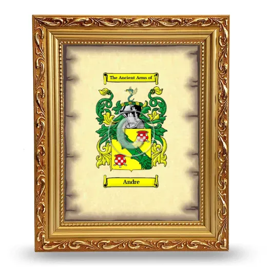 Andre Coat of Arms Framed - Gold
