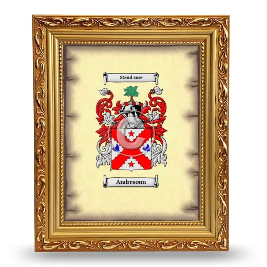 Andresoun Coat of Arms Framed - Gold