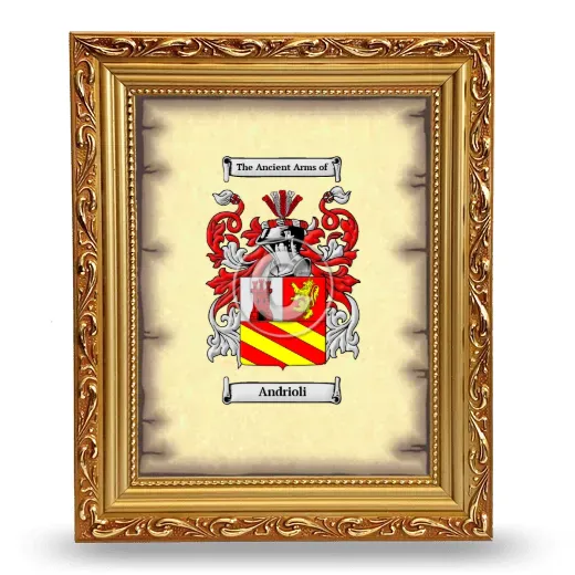 Andrioli Coat of Arms Framed - Gold
