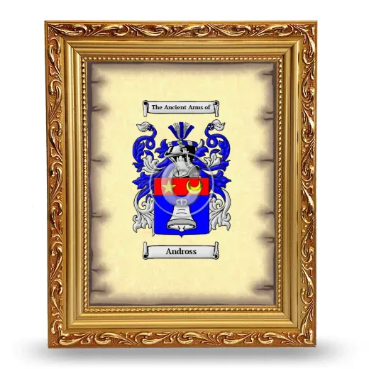 Andross Coat of Arms Framed - Gold