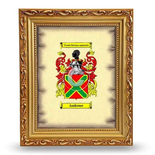 Androwe Coat of Arms Framed - Gold