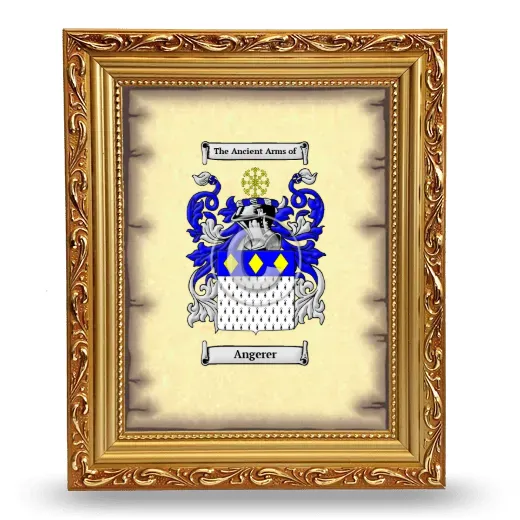 Angerer Coat of Arms Framed - Gold