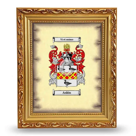Ankin Coat of Arms Framed - Gold