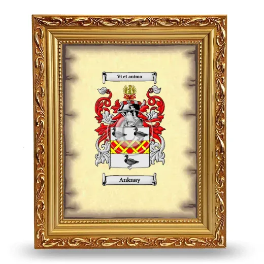 Anknay Coat of Arms Framed - Gold