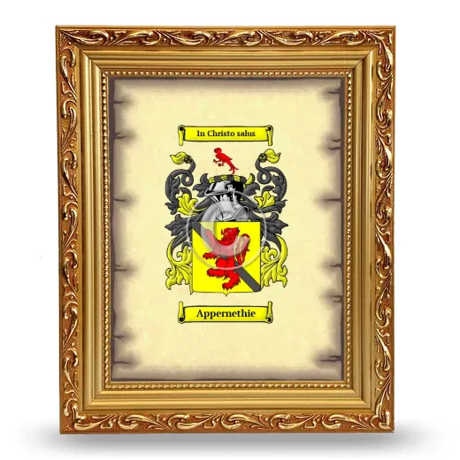 Appernethie Coat of Arms Framed - Gold