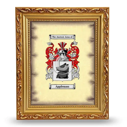 Appleman Coat of Arms Framed - Gold