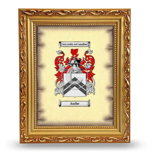 Asche Coat of Arms Framed - Gold