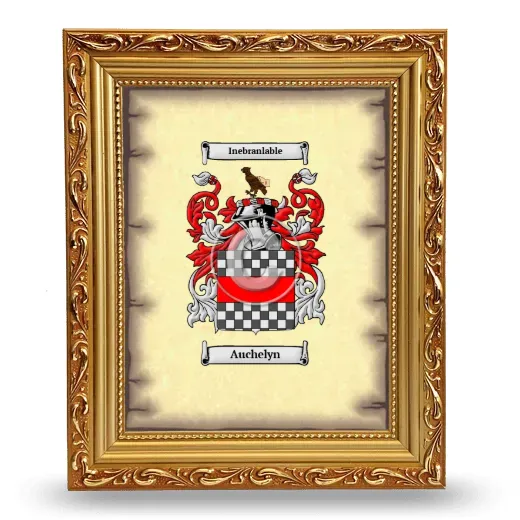 Auchelyn Coat of Arms Framed - Gold