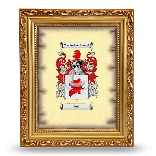 Aur Coat of Arms Framed - Gold