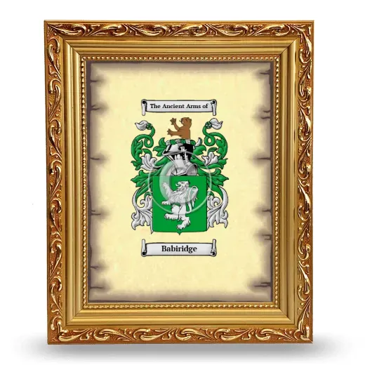 Babiridge Coat of Arms Framed - Gold