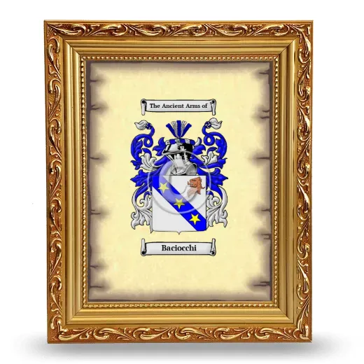 Baciocchi Coat of Arms Framed - Gold