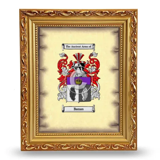 Banas Coat of Arms Framed - Gold