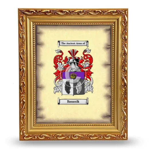 Banasik Coat of Arms Framed - Gold