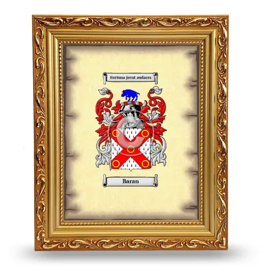 Baran Coat of Arms Framed - Gold