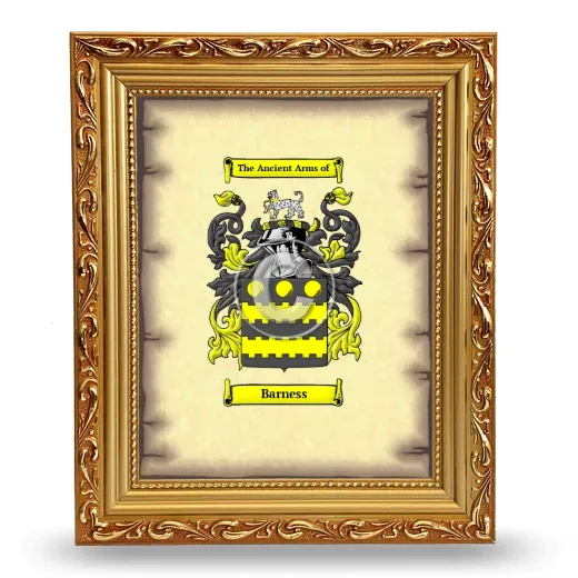 Barness Coat of Arms Framed - Gold