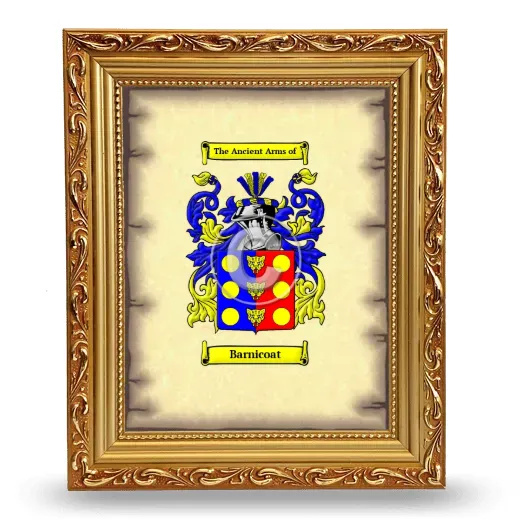 Barnicoat Coat of Arms Framed - Gold