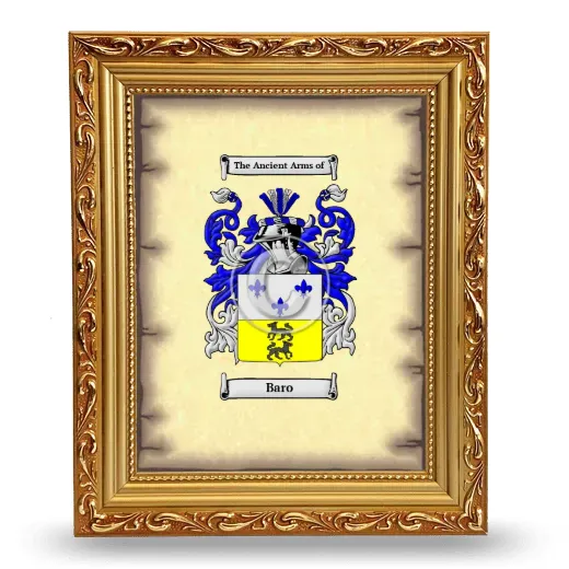 Baro Coat of Arms Framed - Gold