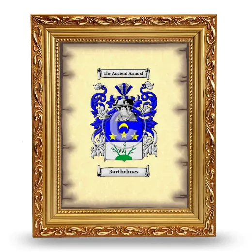 Barthelmes Coat of Arms Framed - Gold