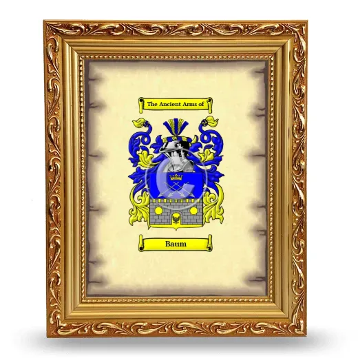 Baum Coat of Arms Framed - Gold