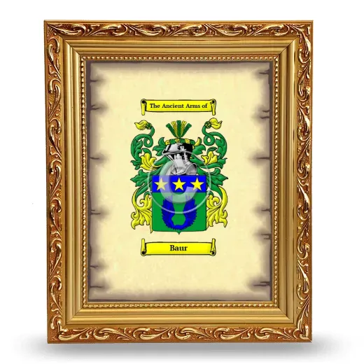 Baur Coat of Arms Framed - Gold