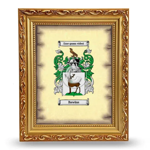 Bawins Coat of Arms Framed - Gold