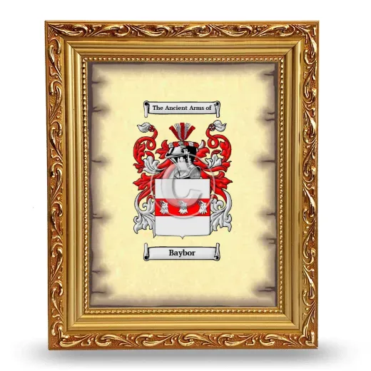 Baybor Coat of Arms Framed - Gold