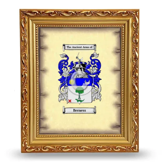 Berness Coat of Arms Framed - Gold