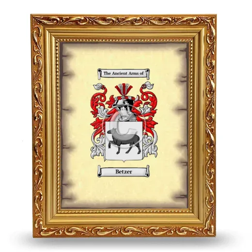 Betzer Coat of Arms Framed - Gold