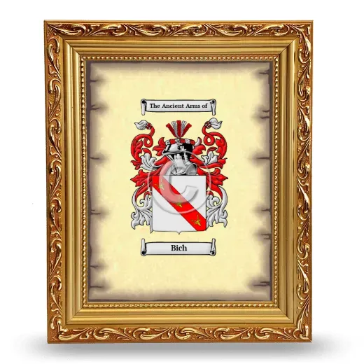 Bich Coat of Arms Framed - Gold