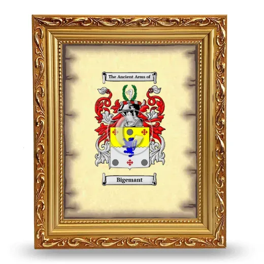 Bigemant Coat of Arms Framed - Gold