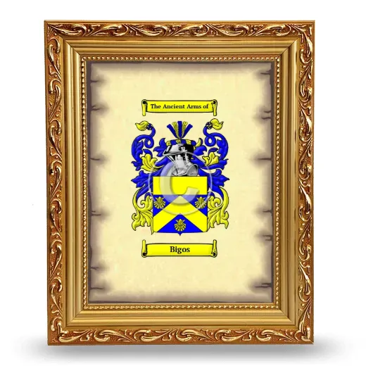 Bigos Coat of Arms Framed - Gold