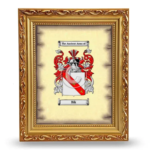 Bik Coat of Arms Framed - Gold