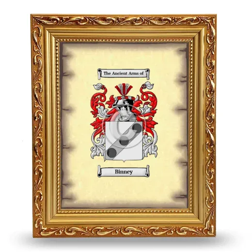 Binney Coat of Arms Framed - Gold