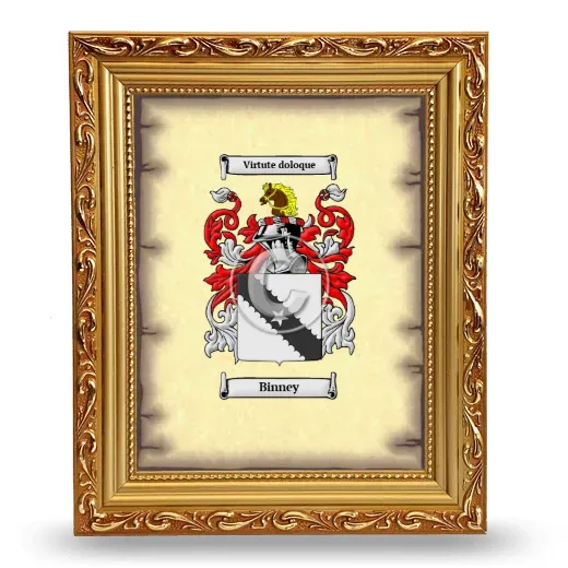 Binney Coat of Arms Framed - Gold