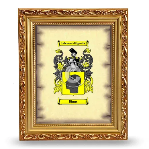 Binns Coat of Arms Framed - Gold