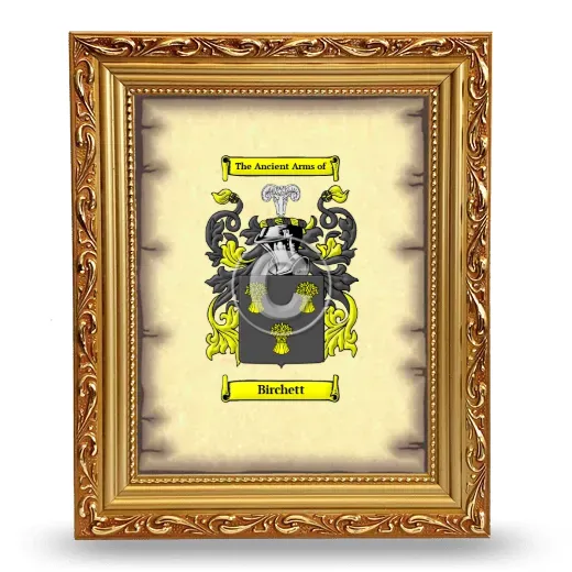 Birchett Coat of Arms Framed - Gold